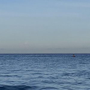 扒开疯狂揉❌脱脱内内
